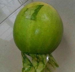 一个吃瓜事件的真实视频,视频还原惊人真相