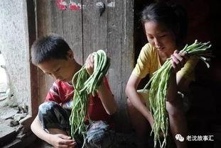 广河县姐弟吃瓜事件视频,一场引发社会关注的家庭悲剧