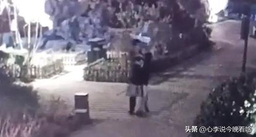 莘县吃瓜视频曝光事件真相,真相揭秘，还原事件始末