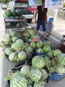 福建餐厅吃瓜事件视频,一场引发热议的餐桌冲突