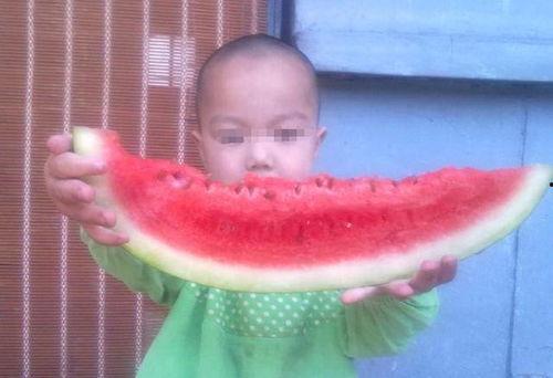 水晶瓜小男孩可以吃吗视频,揭秘视频中的神秘水晶瓜是否可食用