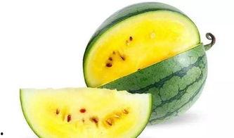 潍坊吃瓜爆料事件视频