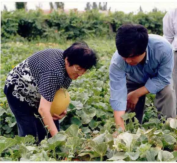 山工院吃瓜视频,揭秘校园生活趣味瞬间