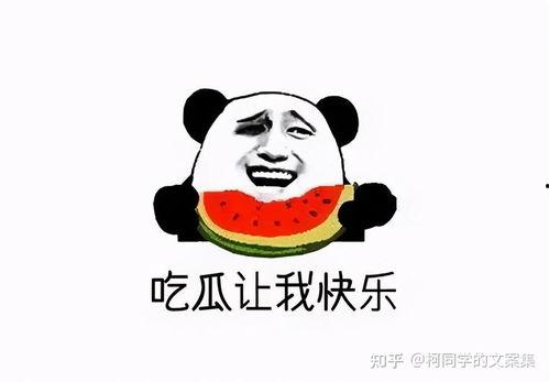念吧吃瓜视频文案搞笑,念吧吃瓜，欢乐无限