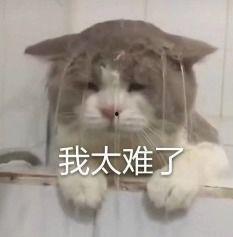 内娱吃瓜视频在线观看,在线观看热门视频，揭秘娱乐圈幕后故事